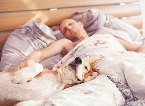 Ditch This Habit at Bedtime for Weight Loss